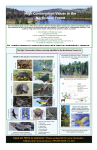 High Conservation Values in the Northshore Forest