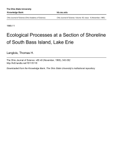 Ecological Processes at a Section of Shoreline of