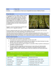 Sector Project Title Forestry Augmentation of forest cover in