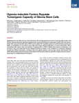 Hypoxia-Inducible Factors Regulate Tumorigenic Capacity of