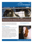 Biosecurity for Sheep and Goat Producers