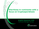 Diarrhoea in ruminants with a focus on Cryptosporidiosis