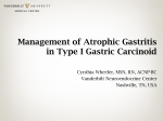 Management of Atrophic Gastritis in Type I Gastric Carcinoid
