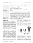 Application of a bacterial two-hybrid system for the