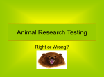 Animal Research Testing