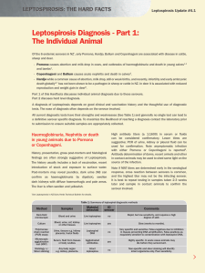 Leptospirosis Diagnosis - Part 1: The Individual Animal