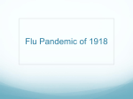 Flu Pandemic of 1918