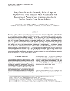 Long-Term Protective Immunity Induced Against