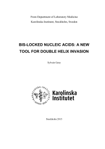 bis-locked nucleic acids: a new tool for double helix invasion