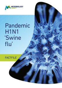 Pandemic H1N1 `Swine flu`