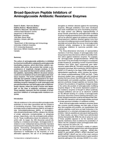 Broad-Spectrum Peptide Inhibitors of Aminoglycoside Antibiotic