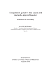 Toxoplasma gondii in wild boars and domestic pigs in Sweden