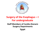 Esophagus I