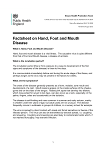 Factsheet on Hand, Foot and Mouth Disease