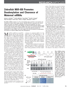 Zebrafish MiR-430 Promotes Deadenylation and Clearance of
