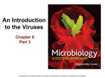 An Introduction to the Viruses Chapter 6 Part 3
