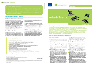 Avian Influenza - European Commission