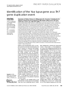 Identification of the yaa lupus as a IIr