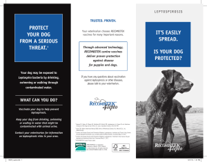 it`s easily spread. is your dog protected? protect