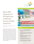 Robust DNA Polymerase for PCR Application in Molecular Cloning