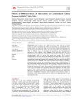 Effects of Different Doses of Simvastatin on Lead