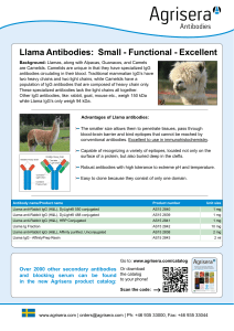 Llama Antibodies: Small - Functional - Excellent