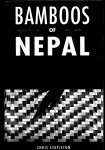 Bamboos of Nepal