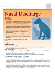 Nasal Discharge - Milliken Animal Clinic