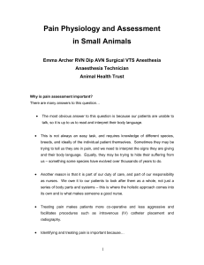 Pain assessment in small animals