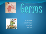 Germs - calliephysed
