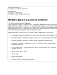 Model organism databases and tools