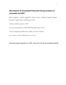 Recruitment of Drosophila Polycomb Group proteins to