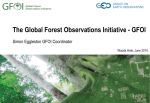 The Global Forest Observations Initiative