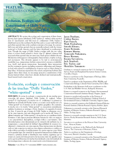Evolution, ecology and conservation of Dolly Varden