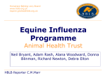 Equine Influenza Programme - Horserace Betting Levy Board