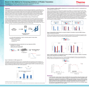 Novel In Vitro Method for Screening Inhibitors of Protein Translation