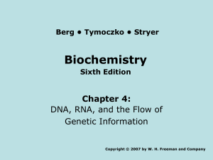 Biochemistry 6/e