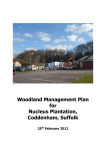 Woodland Management Plan for Nucleus Plantation, Coddenham