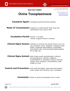 Ovine Toxoplasmosis Fact Sheet - Environmental Health and Safety