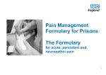 Pain Management Formulary for Prisons: The