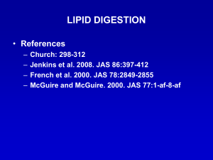 lipid digestion - anslab.iastate.edu