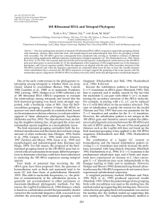 18S Ribosomal RNA and Tetrapod Phylogeny