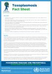 Toxoplasmosis Fact Sheet - World Health Organization