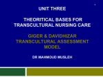 giger and davidhizar transcultural model