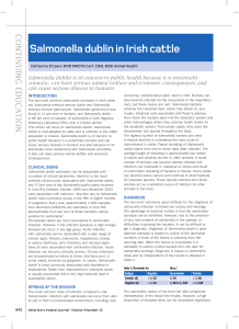 Salmonella dublin in Irish cattle