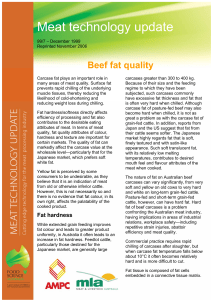 Beef fat quality - Meat Industry Services