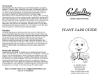 plant care guide - Corliss Brothers