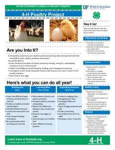 4-H Poultry Project - Florida 4-H