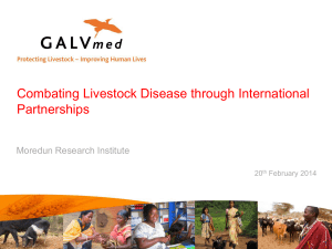 Combating livestock disease through international partnerships