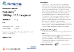 NoLimits 1000bp DNA Fragment
